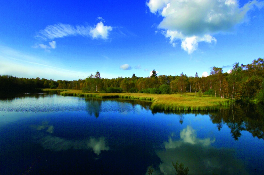 Landschaft Rhön | Fremdenverkehrsverein Dipperz / Rhön